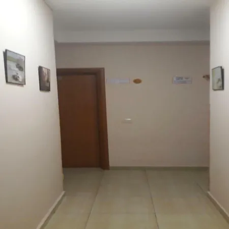 Auberge de jeunesse My Tirana